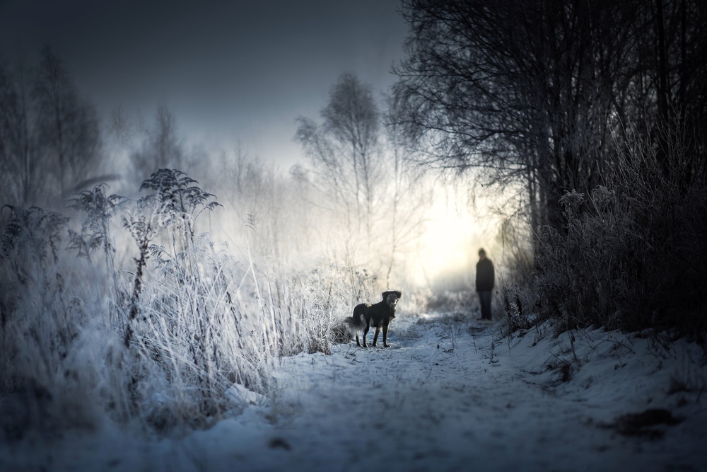 morning walk von Iwona Podlasinska