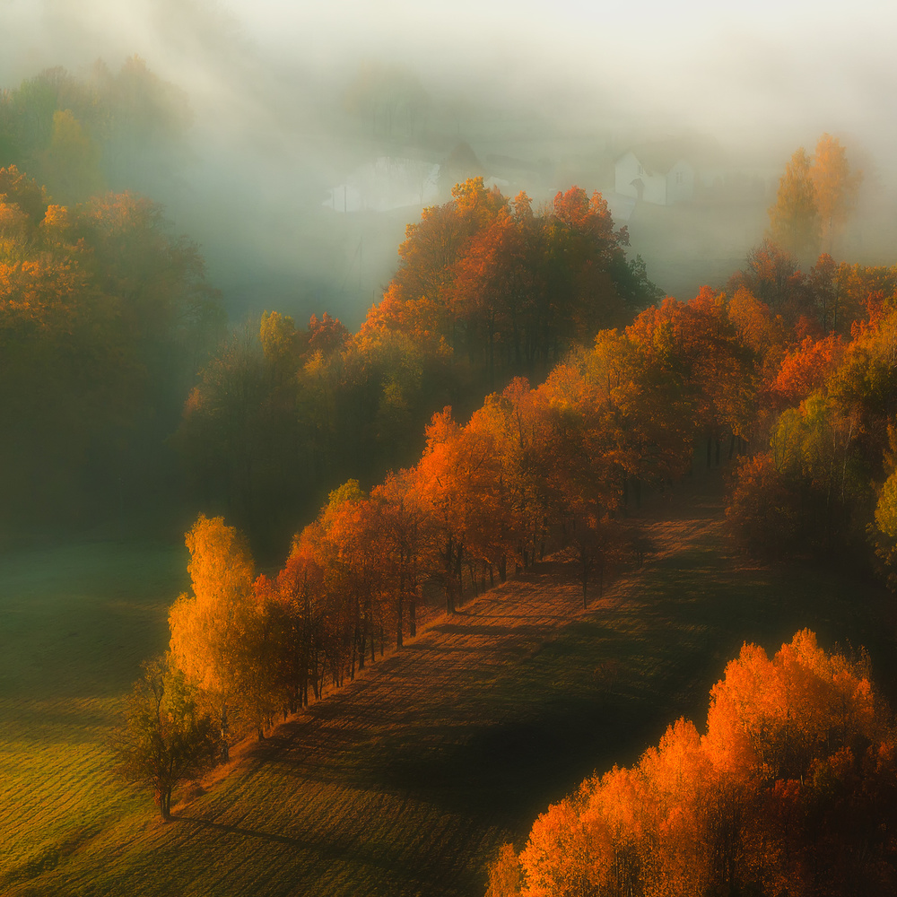 Breath of Life... von Izabela Laszewska-Mitrega/Darek Mitrega