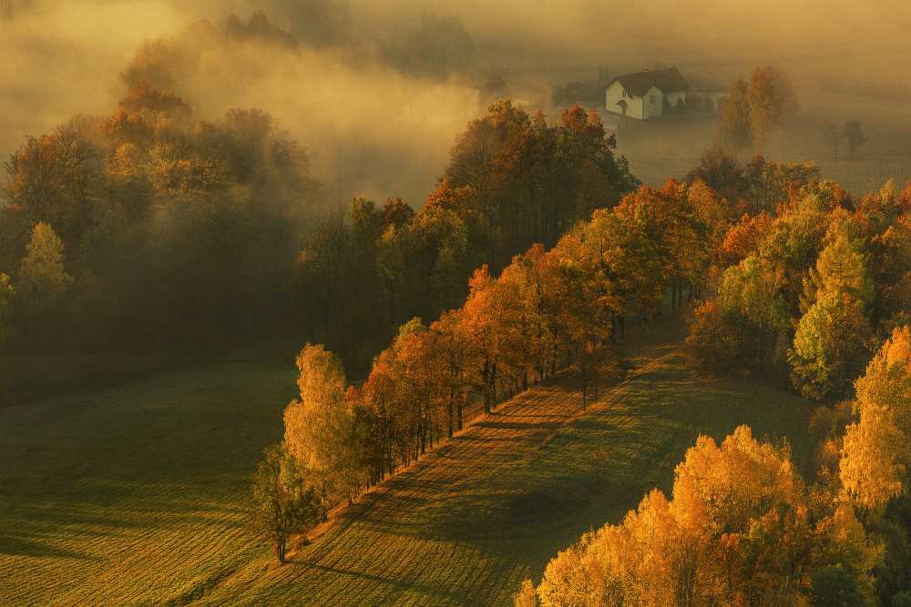 Autumn von Izabela Laszewska-Mitrega/Darek Mitrega