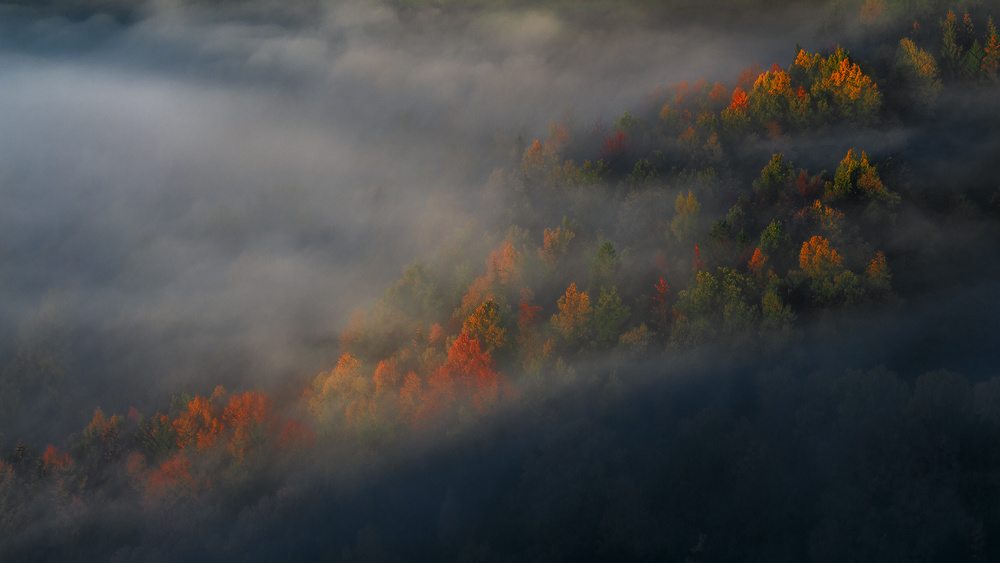 The Poetry of Light von Izabela Laszewska-Mitrega/Darek Mitrega