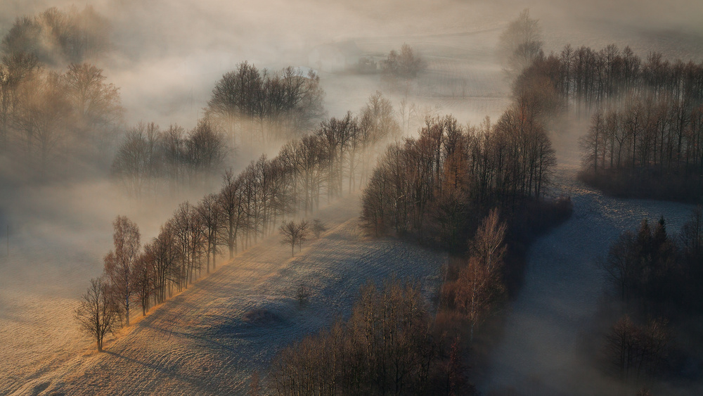 A Hazy Morning von Izabela Laszewska-Mitrega/Darek Mitrega