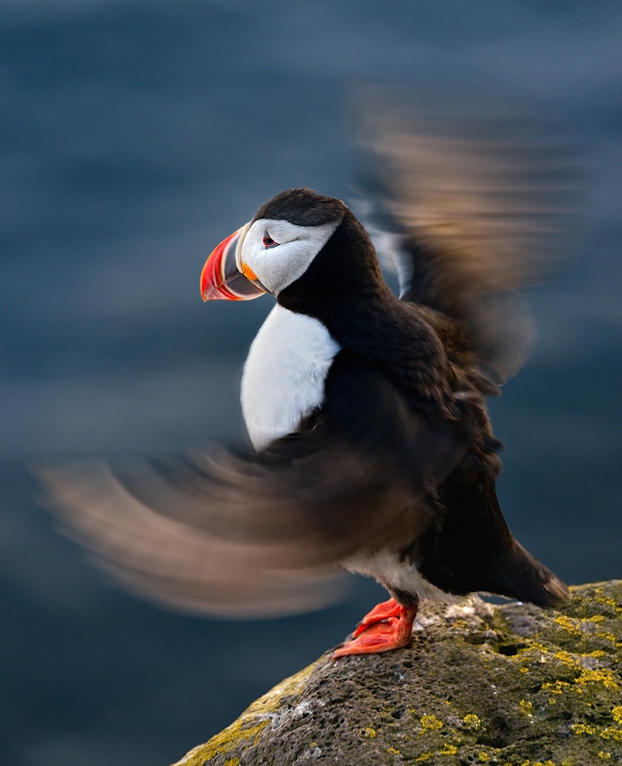 Take off von Izidor Gasperlin