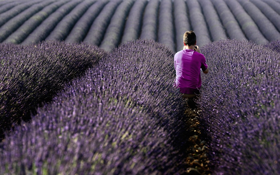 World of purple von Izidor Gasperlin