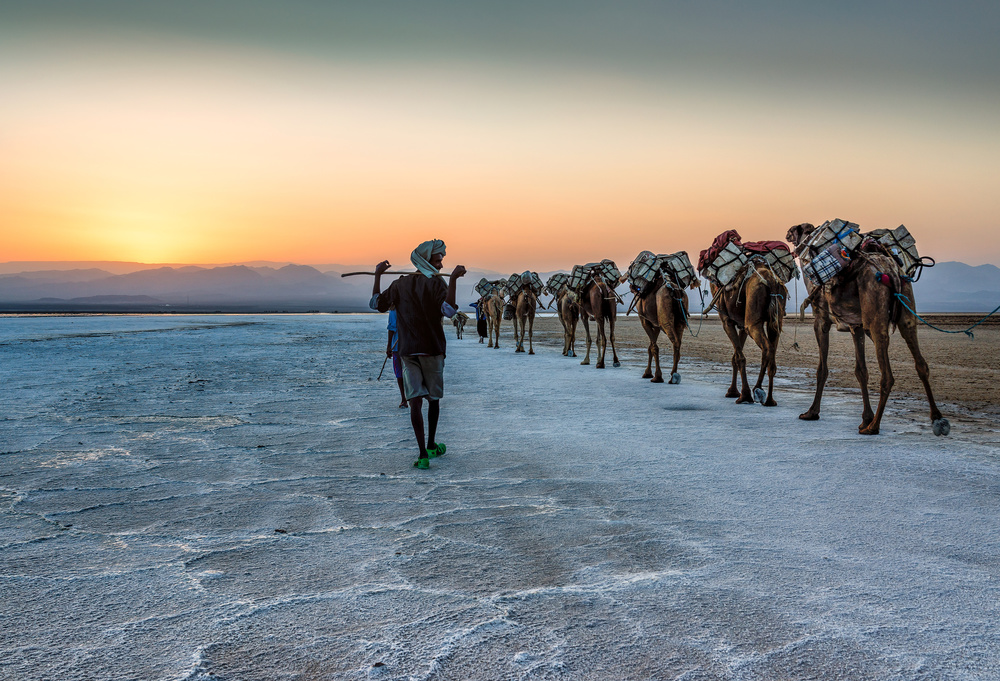 Salt transportation von Jaap Koer