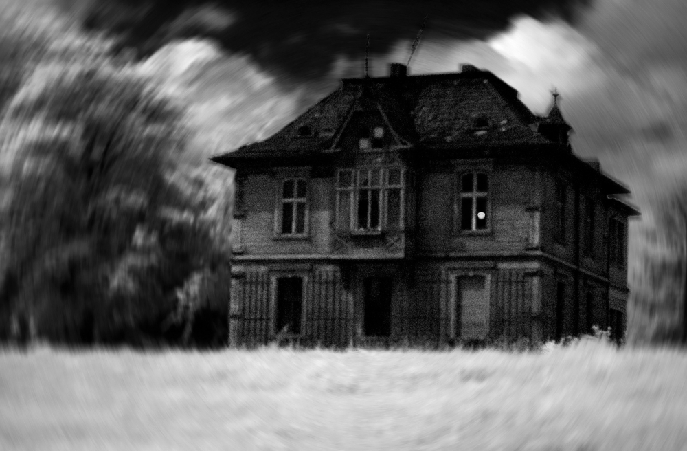 The haunted house von Jacek Stefan