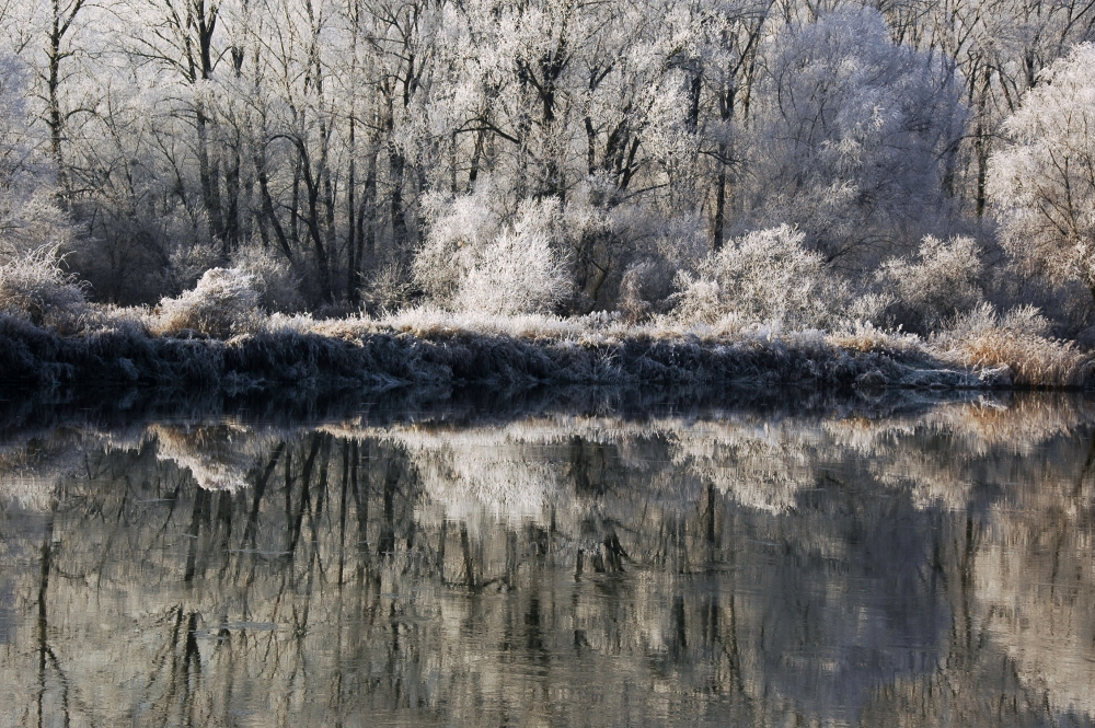 The first of winter von Jacek Stefan