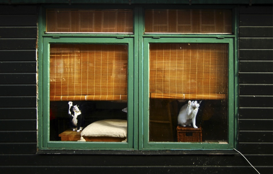 Window cleaners von Jacek Stefan