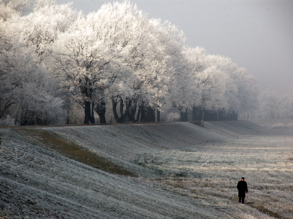 Going home von Jacek Stefan