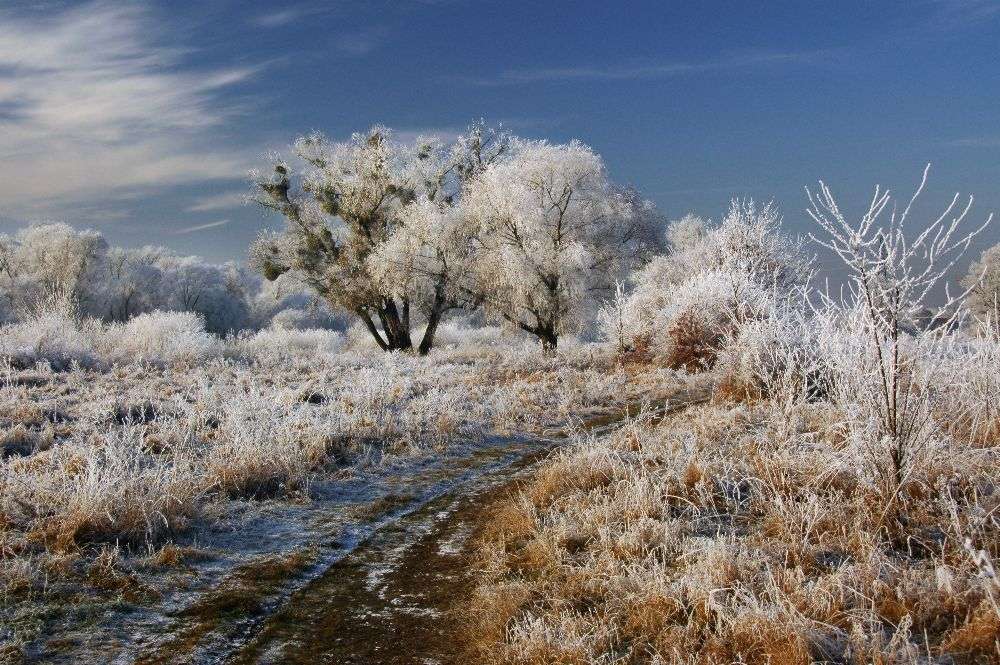 Willkommen in Narnia! von Jacek Stefan