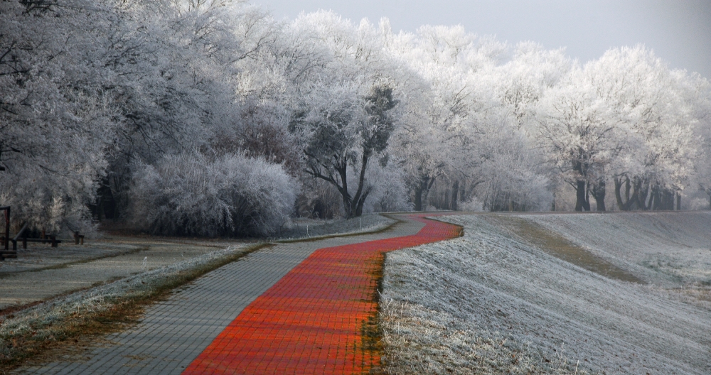 Winter afternoon von Jacek Stefan