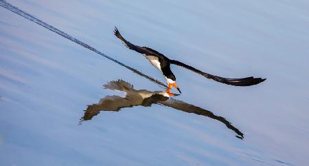 tilted skimming