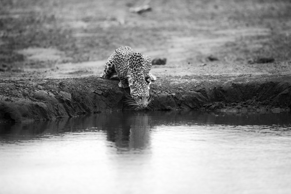 DECISIVE MOMENT von Jaco Marx