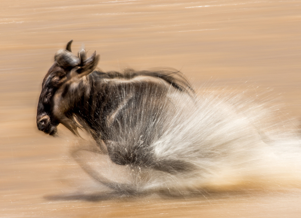 SLOW SHUTTER WILDEBEEST von Jaco Marx