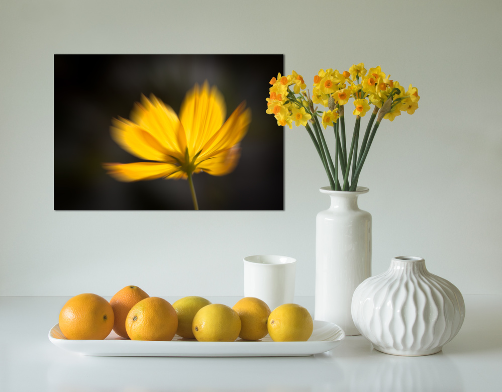 Yellow Display von Jacqueline Hammer