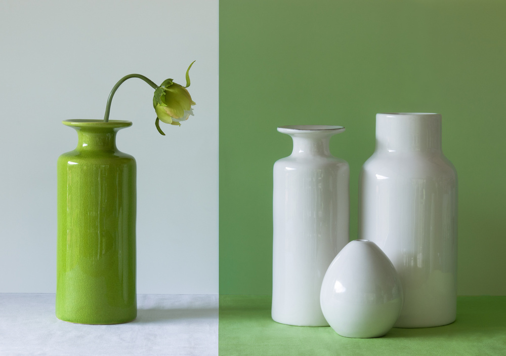 Empty Vases von Jacqueline Hammer