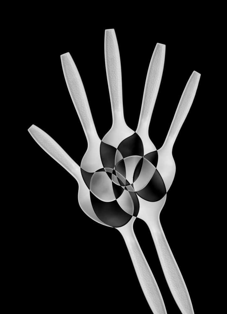 Spoons Abstract: Xray von Jacqueline Hammer