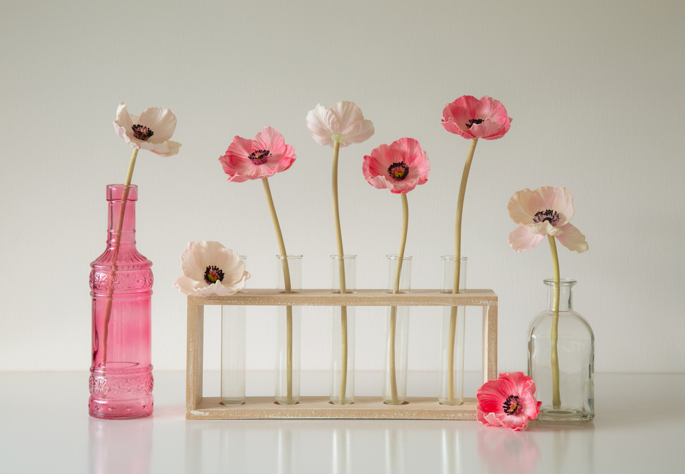 Poppies in Glass von Jacqueline Hammer