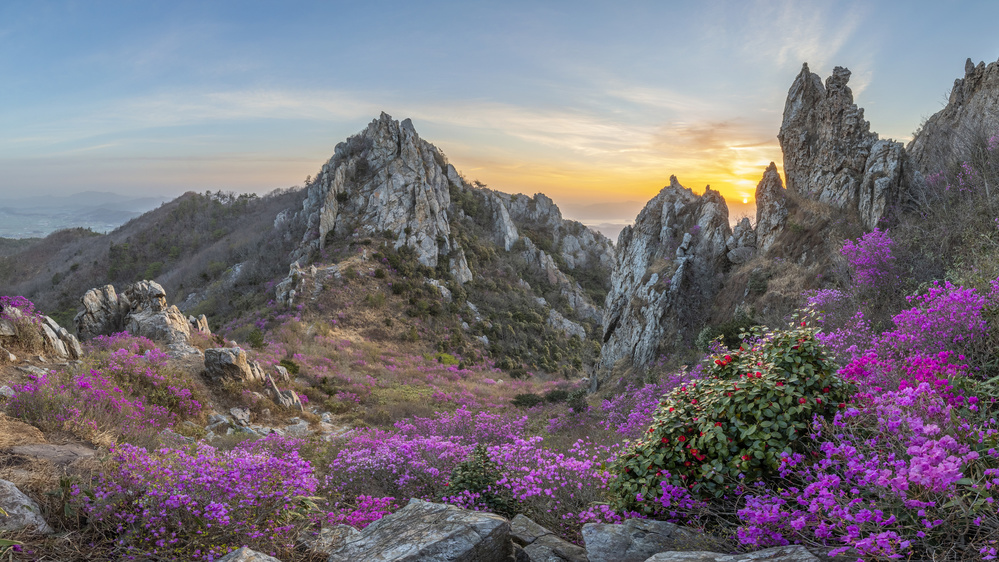 Blooming Time, Deokryongsan von Jaeyoun Ryu