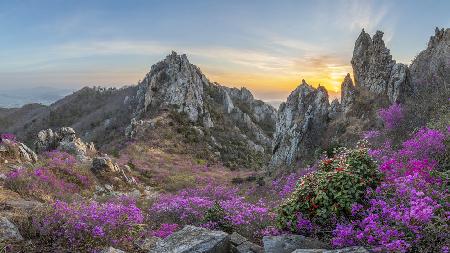 Blooming Time, Deokryongsan