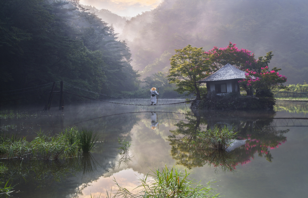 The Secret Garden von Jaeyoun Ryu