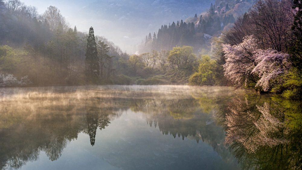 Spring, Selyangji von Jaeyoun Ryu