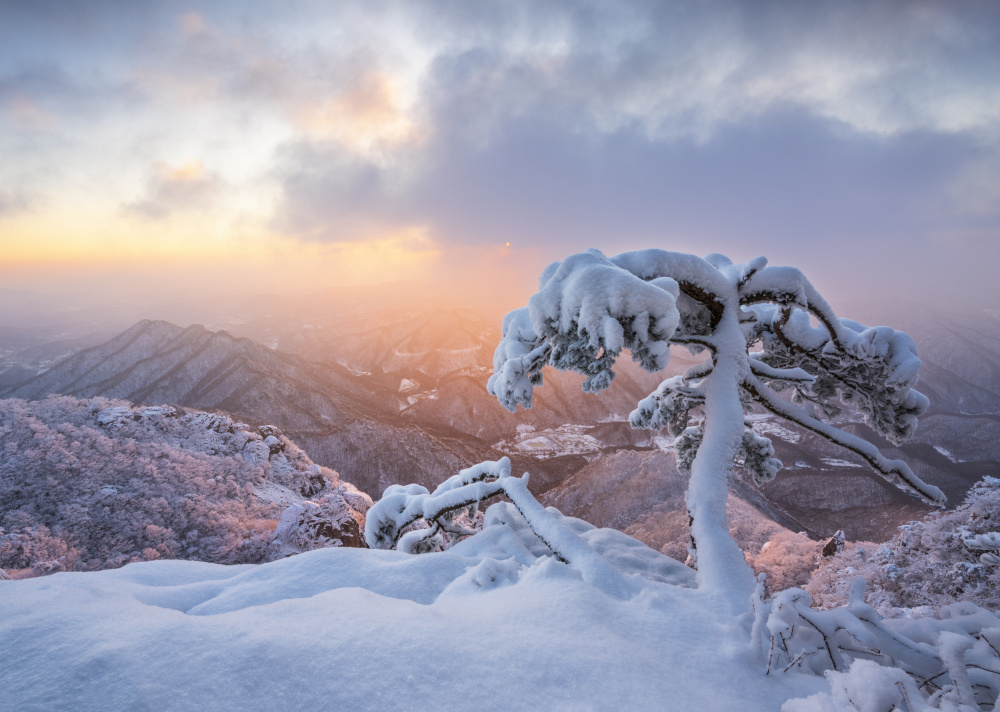 Frozen ghost von Jaeyoun Ryu