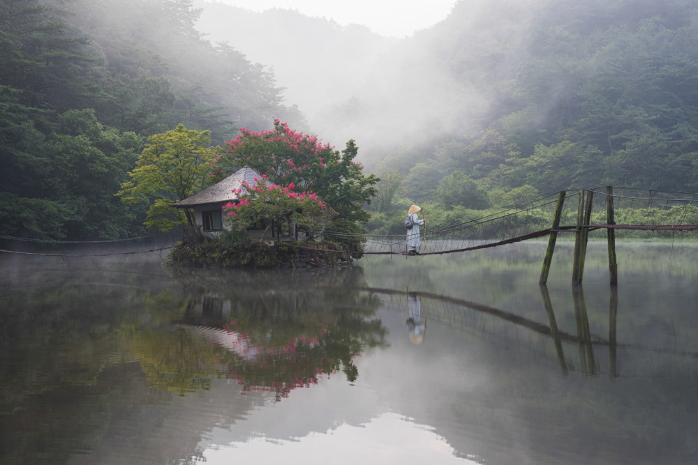 Summer wanderer von Jaeyoun Ryu