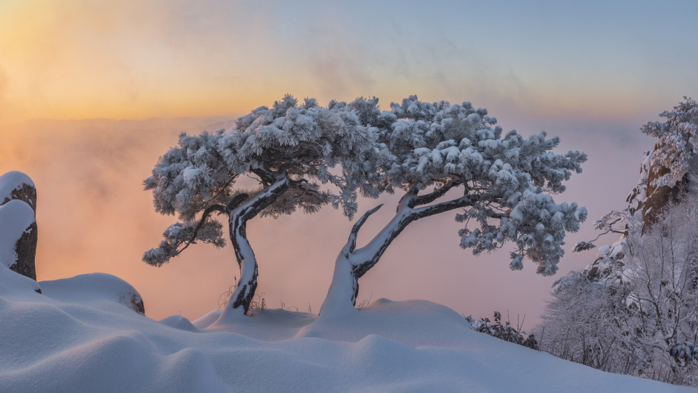 Living Together von Jaeyoun Ryu