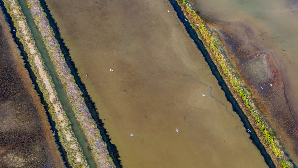 Sečovlje salins von Jaka Ivancic