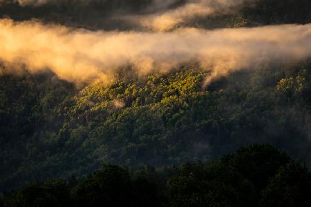 Fog after the storm