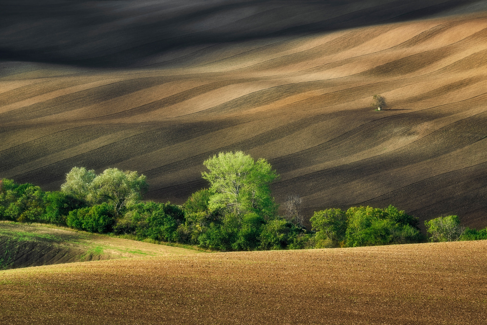 Lines and shadows von Jakub Koziol