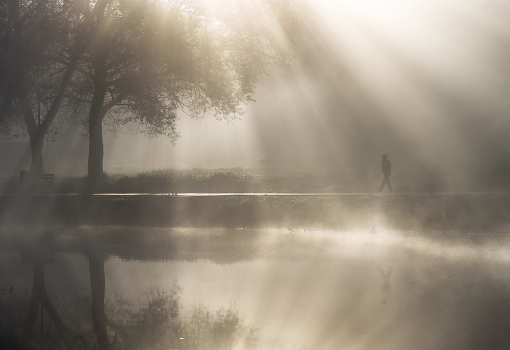 Morning light von Jakub Przybyla