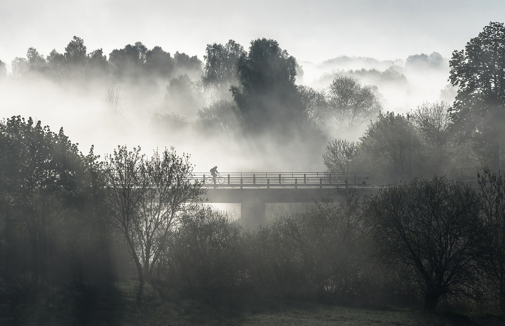 Cyclist von Jakub Przybyla