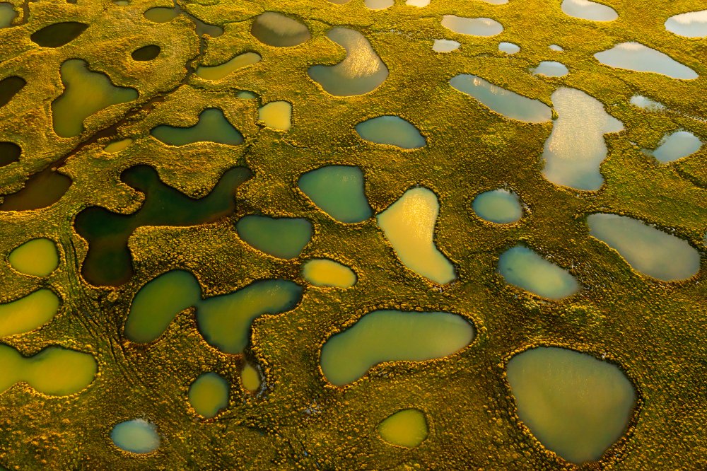 Aerial Abstract of Small Lakes von James Bian