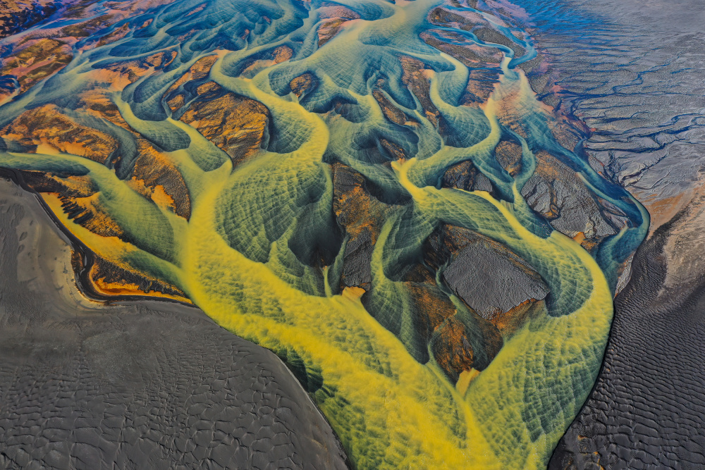 Veins of the Earth von James Cai