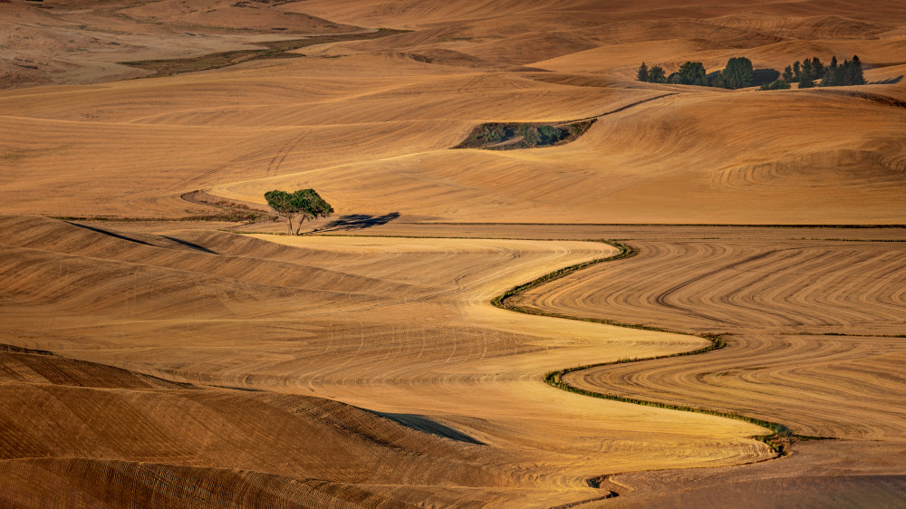 Golden Palouse von James Cai