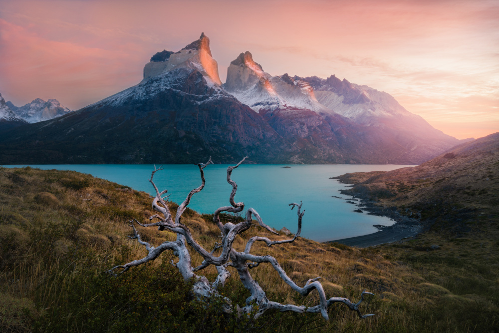 Morning in Torres del Paine von James Cai