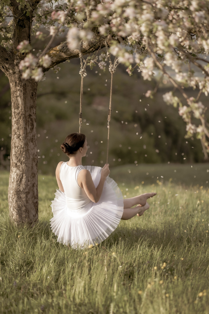 cherry tree swing von James Graf