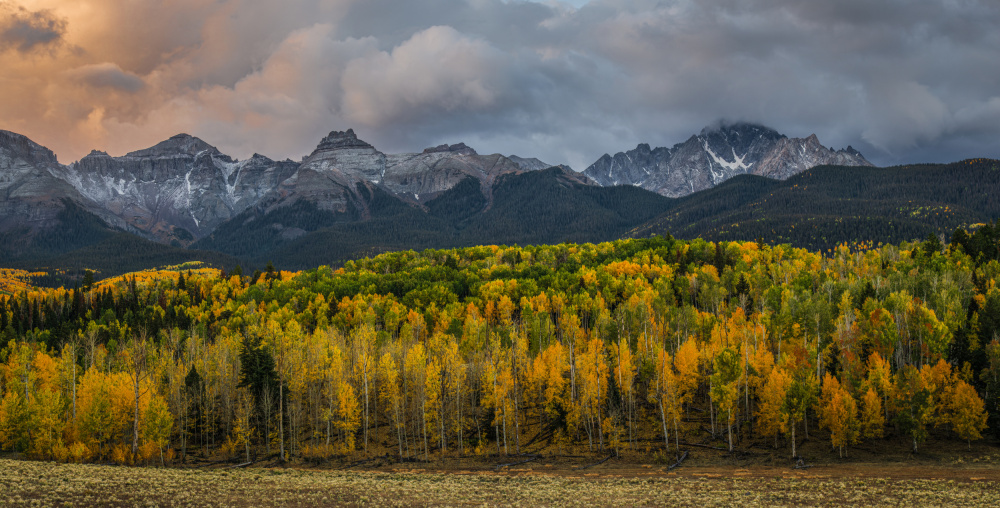 The Layers of Autumn von James Harris