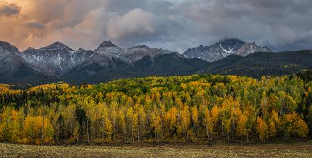 The Layers of Autumn