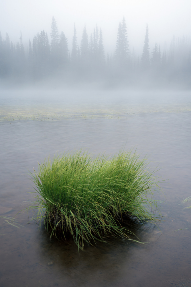 Morning at Reflection Lakes von James K. Papp