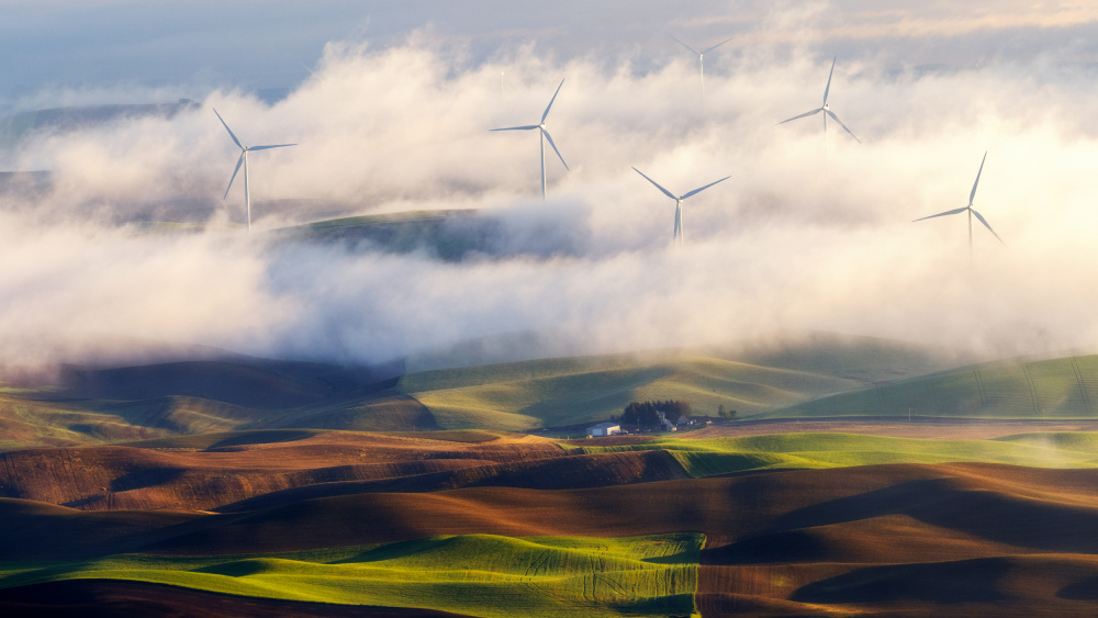 View From The Steptoe Butte von James Lu