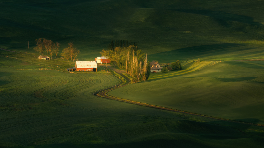 A Palouse Farm von James Lu