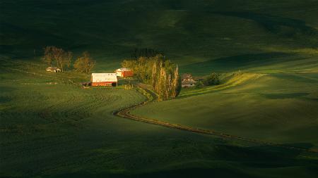 A Palouse Farm