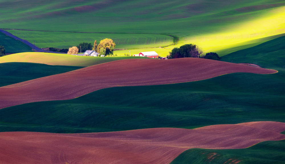 A Palouse Farm von James Lu