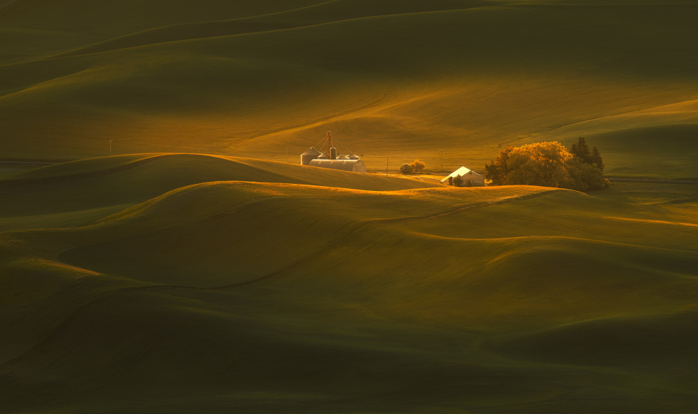 A Palouse Farm von James Lu