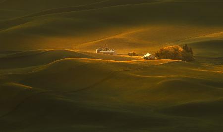 A Palouse Farm