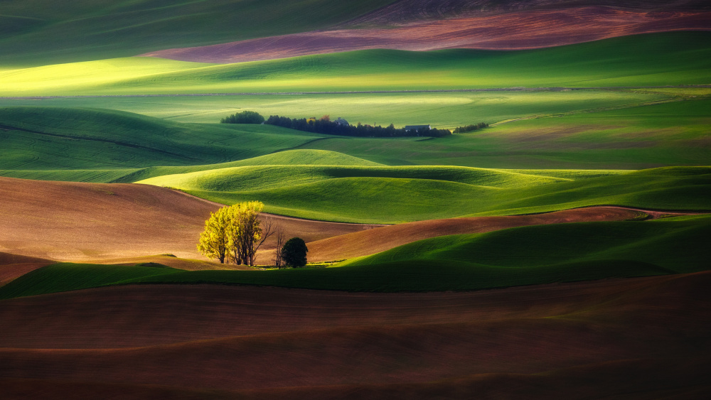 Rolling Wheat Fields von James Lu