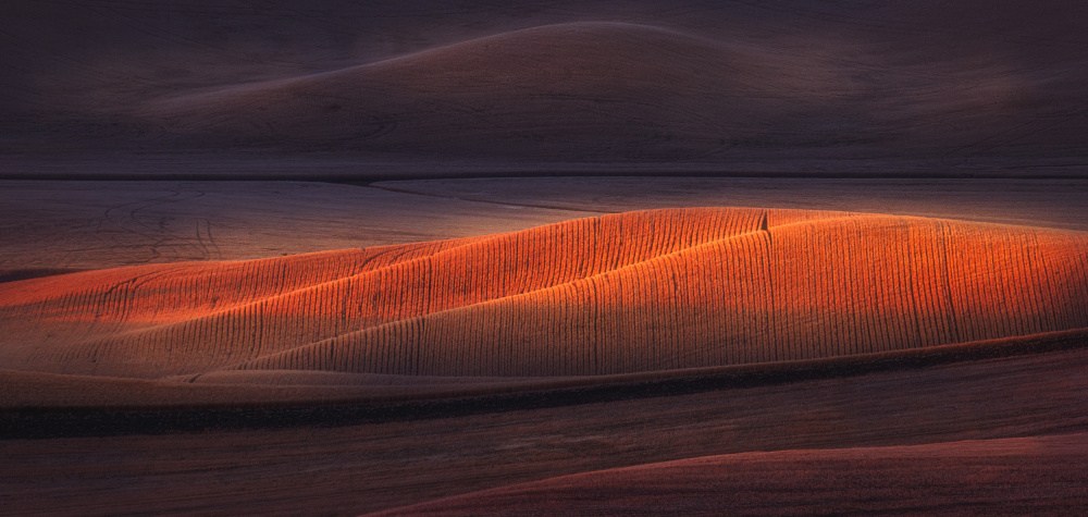 Morning Light von James Lu