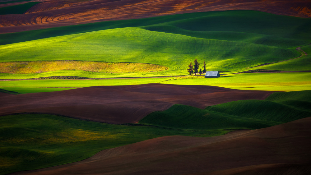 Paint Hills von James Lu